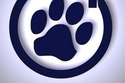 Ветеринарная клиника ПроВет, с рейтингом 3.5 - находится по адресу Красноярск, улица Кутузова, 73 