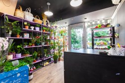 Květinářství na dálnici Mozhaisk, 4 až 1