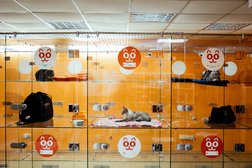 Гостиница для кошек и мелких питомцев BookingCat, с рейтингом 4.1 - находится по адресу Омск, Пригородная, 5 к2 