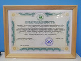 сертификат/документ Частного детского сада Няня Мари на улице Айдарова