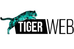 Веб-студия TigerWeb, с рейтингом 5 - находится по адресу Республика Крым, Симферополь, Петропавловская улица, 3 