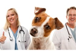 Ветеринарная клиника DoctorVet, с рейтингом 2.5 - находится по адресу Краснодарский край, Анапа, Владимирская улица, 120 