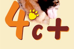 Ветеринарно-диагностический центр "4 с +", с рейтингом 2.9 - находится по адресу Рязань, Вокзальная улица, 42 