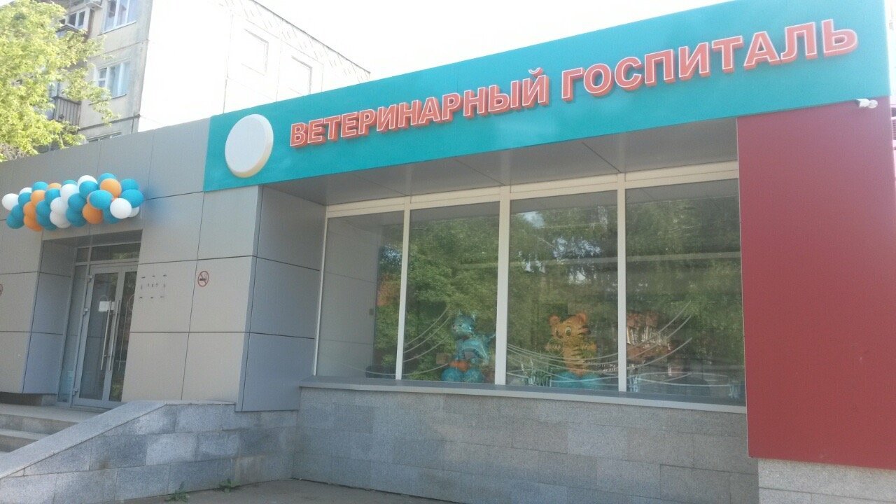 фотография Ветеринарной клиники ВитаВет на улице Холмогорова, 90