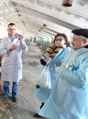 Главный ветеринарный врач Дмитрий Николаевич Шатравкин