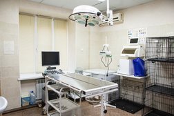 Ветеринарный центр Добрые руки, с рейтингом 4.7 - находится по адресу Волгоград, проспект Металлургов, 12 