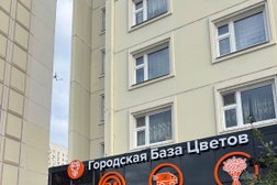 Городская база цветов, с рейтингом 4 - находится по адресу Московская область, Мытищи, улица Борисовка, 2 