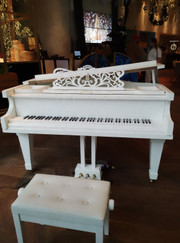 Организатор мероприятий Рояль Белый