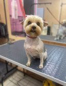 Сергеевна Светлана