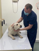 Тузов Дмитрий Борисович