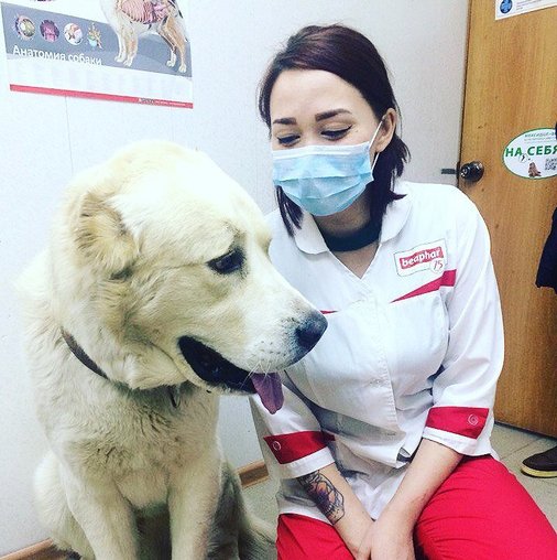 Гульсина Гайнулловна Елейник