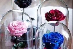 Интернет-магазин ПодарокНайден.ру, с рейтингом 2 - находится по адресу Калининград, Театральная улица, 30 