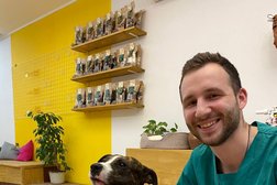 Ветеринарная клиника SURTA-VET, с рейтингом 4.3 - находится по адресу Саратовская область, городской округ Саратов, Волжский район, 410000, Московская улица, 66 