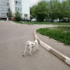 фото от пользователя Елена Солярж в отзыве о ветеринарном центре 21 век