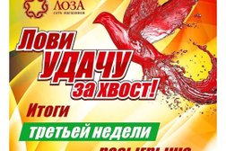 Магазин Виноград Иркутск Каталог Цены