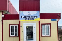 Ветеринарная клиника Ирбис, с рейтингом 5 - находится по адресу Удмуртская респ, Сарапул, ул Амурская, д 27Б 