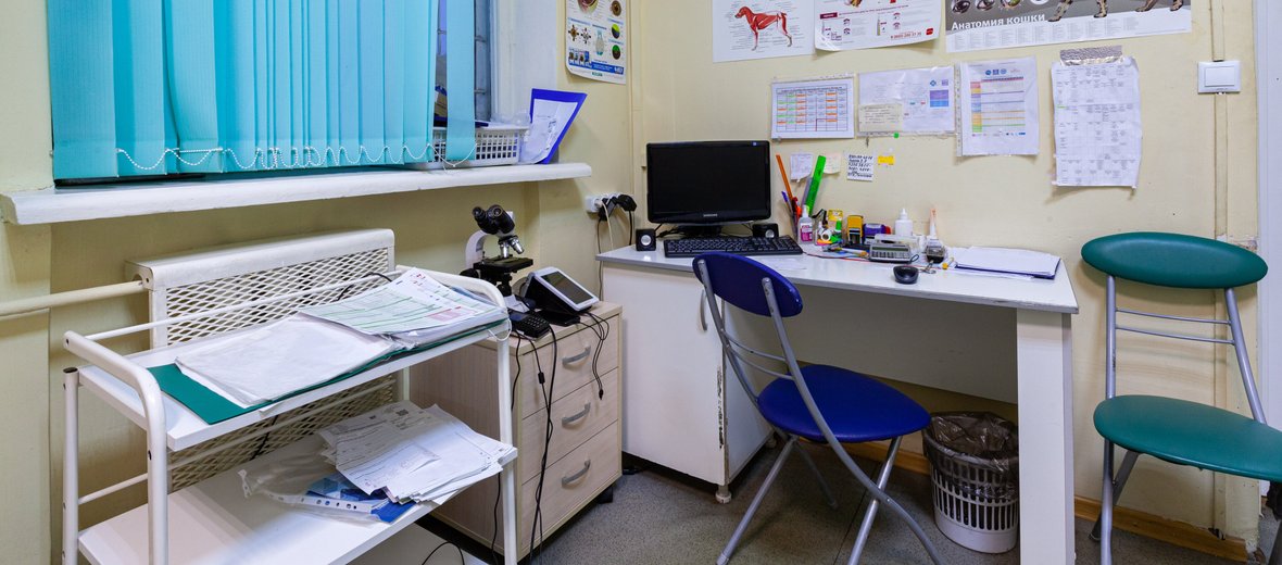 ветеринарная клиника в жуковском. ветрассвет жуковский. аптечная сеть доступная среда город омске. отзывы о ветеринарной клинике. ветеринарная клиника в жуковском на молодежной.