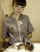 Шемет Екатерина Викторовна