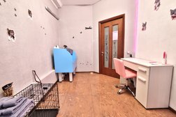 Зоосалон Милорд, с рейтингом 4 - находится по адресу Сочи, микрорайон Центральный, Навагинская улица, 9/1 