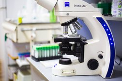 Ветеринарный лечебно-диагностический и онкологический центр Статус, с рейтингом 4.6 - находится по адресу Воронеж, улица Ворошилова, 38А 