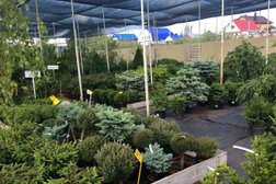 Садовый центр Абдуллиных, с рейтингом 4.7 - находится по адресу Республика Башкортостан, Уфа, Нагаевское шоссе, 165 