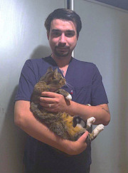 Ветеринарный врач-дерматолог, ветеринар Илья Анатольевич Комольцев