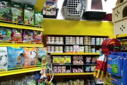 Зоомагазин Кот и Пёс, с рейтингом 3.5 - находится по адресу Тамбов, Первомайская площадь, 25 