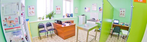 лучший ветеринарный врач в твери. Смотреть фото лучший ветеринарный врач в твери. Смотреть картинку лучший ветеринарный врач в твери. Картинка про лучший ветеринарный врач в твери. Фото лучший ветеринарный врач в твери