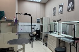 Салон красоты для животных Лака-Лака, с рейтингом 4.9 - находится по адресу Барнаул, Павловский тракт, 162 