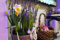 Косметологическая клиника Эстетика, с рейтингом 4.5 - находится по адресу Екатеринбург, улица Радищева, 33 