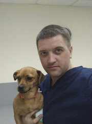 Ветеринар, ветеринарный травматолог Денис Владимирович Серегин