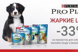 Зоомагазин ЗооГрад, с рейтингом 3.1 - находится по адресу Удмуртская Республика, Ижевск, улица им. Петрова, 29 