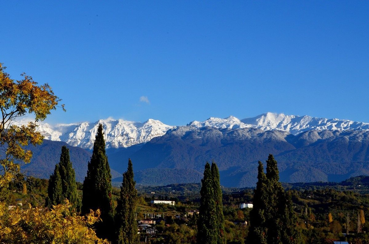Деревья и дома на фоне заснеженных горных вершин