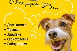Ветеринарная клиника Собачья Радость SPB, с рейтингом 3.7 - находится по адресу Санкт-Петербург, Новгородский проспект, 6 