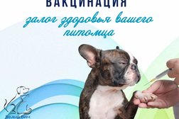 Ветеринарный центр Белый Бим, с рейтингом 5 - находится по адресу Ленинградская область, Кудрово, Английская, 5 