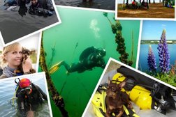 Морские ангелы