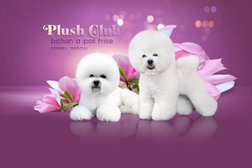 Питомник породы Бишон Фризе Plush Club, с рейтингом 2.4 - находится по адресу Москва, Кировоградская улица, 36 
