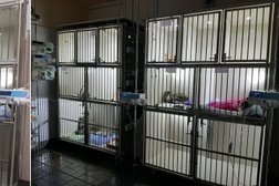 Ветеринарная клиника 911, с рейтингом 2.6 - находится по адресу Республика Татарстан, Казань, улица Кулахметова, 22а 