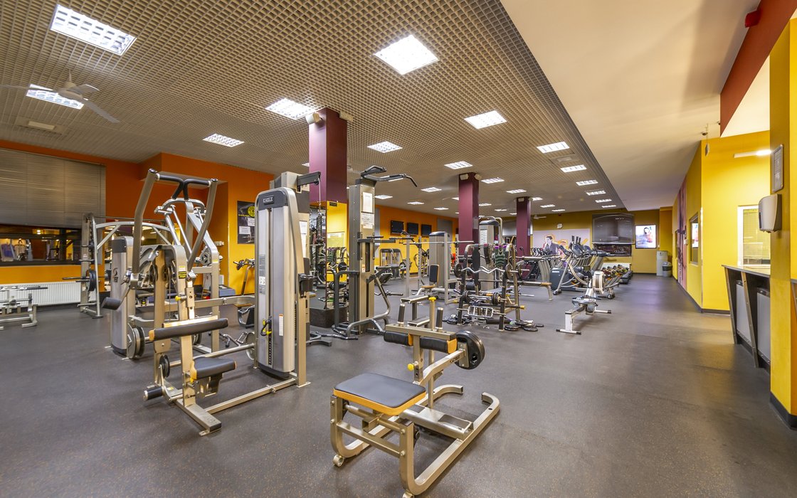 Gold s Gym 27 3 Zoon.ru