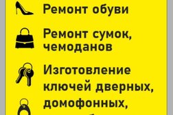 Ремонт Сумок В Спб Приморский Район