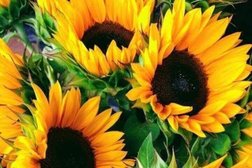 Турагентство Планета Путешествий, с рейтингом 4 - находится по адресу Ярославль, Московский проспект, 153/59 