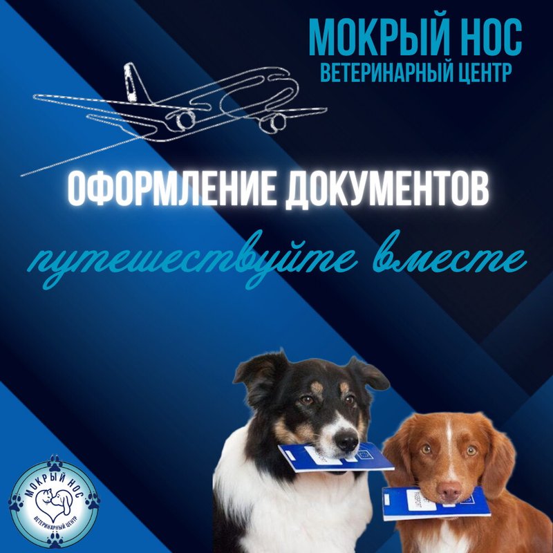 фотография Ветеринарного центра Мокрый нос на Краснобогатырской улице, д13 стр 3