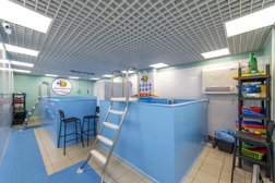 Детский бассейн Aqua baby, с рейтингом 4.5 - находится по адресу Московская область, Химки, улица Панфилова, 12 