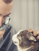 Берченко Валерий Викторович