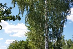 Стоматология Шанс, с рейтингом 3.8 - находится по адресу Нижний Новгород, Красных Зорь, 17 