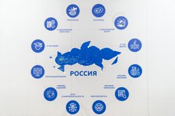 Компьютерная академия Top, с рейтингом 4.8 - находится по адресу Московская область, Видное, Берёзовая улица, 7 