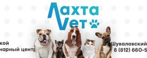 сертификат/документ Ветеринарной клиники Лахта в Приморском районе