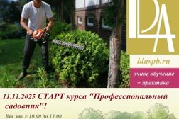 Школа ландшафта LDA, с рейтингом 4.8 - находится по адресу Санкт-Петербург, Гданьская, 7 