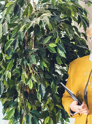  Инна Владимировна Каулина