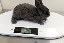 Ветеринарный центр Единорог, с рейтингом 4.6 - находится по адресу Москва, улица Пруд-Ключики, 3 